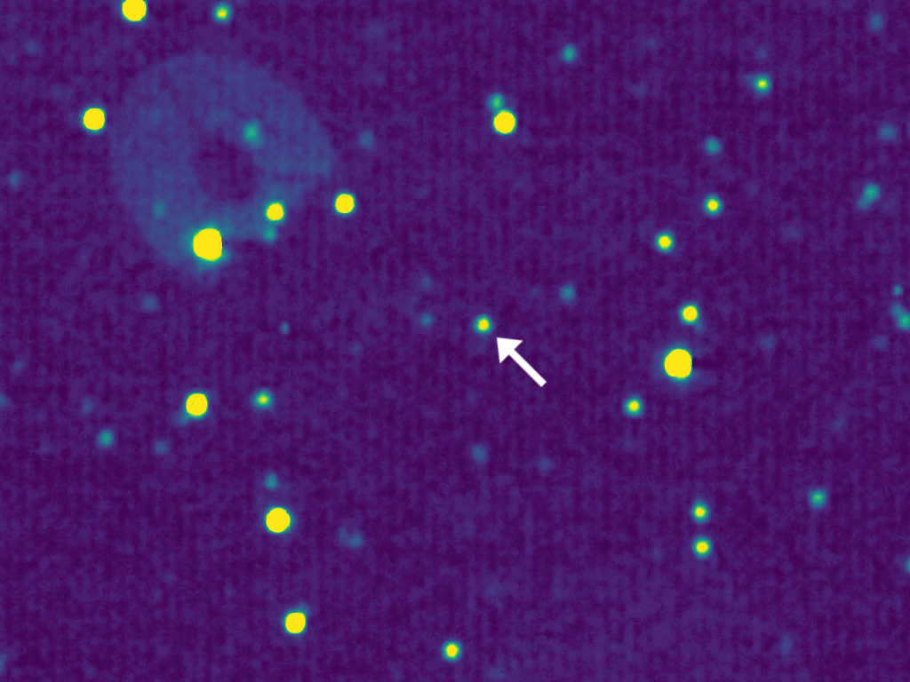 Kuiper Belt Object