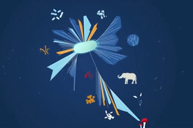 Ribosome and the Origin of Life