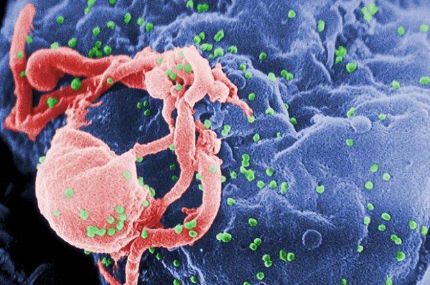 Human Immunodeficiency Virus (HIV)